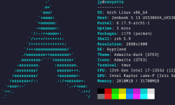 Featured image of post Arch + Hyprland on Zenbook 13