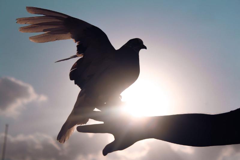 Featured image of post ArgoCD email notifications with Gmail