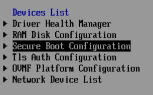 VM BIOS boot options