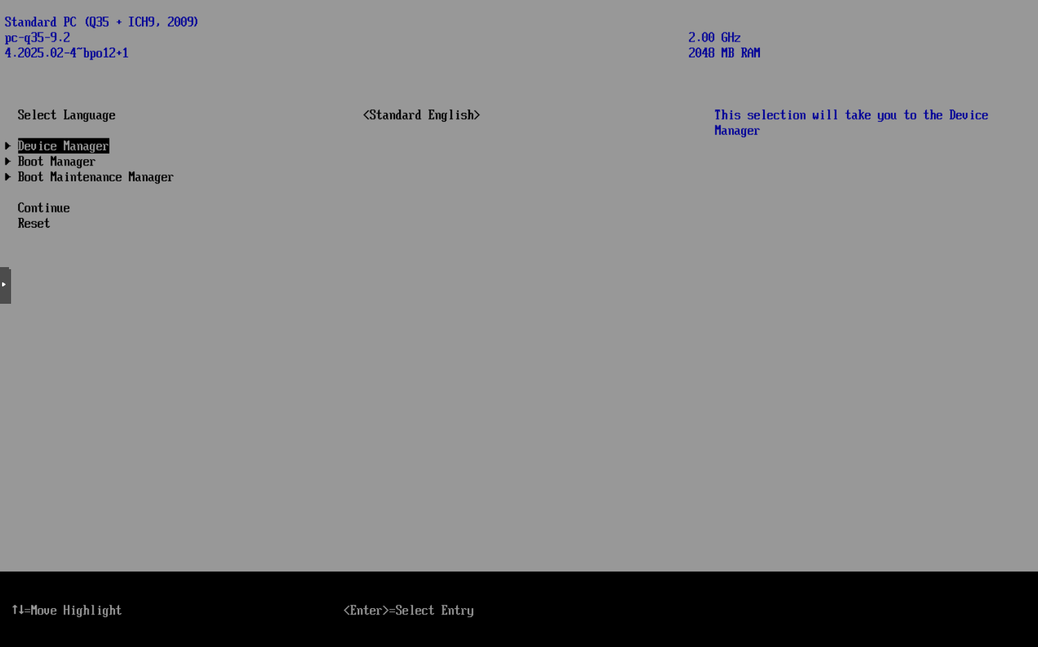 VM BIOS