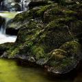 Kubernetes log collection using Fluent Bit and syslog